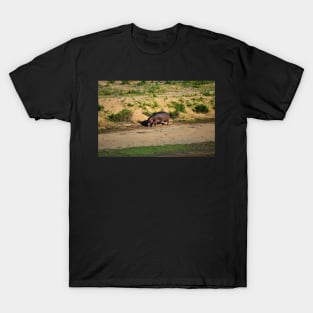 Hippo on Crocodile River 2 T-Shirt